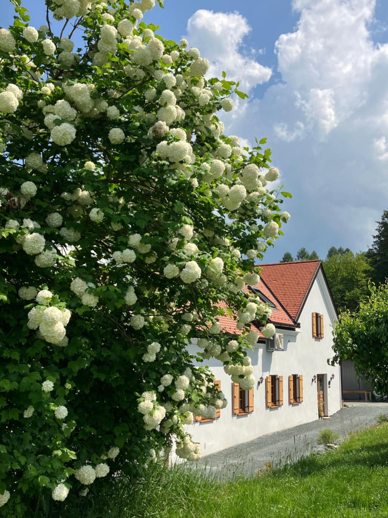 Der Hof Am Wald Villa Weichselbaum Eksteriør billede