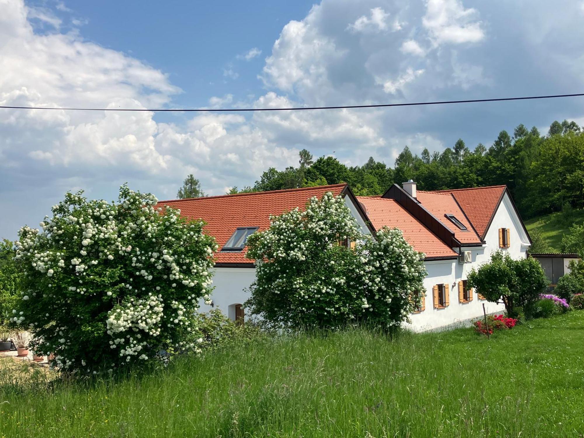 Der Hof Am Wald Villa Weichselbaum Eksteriør billede