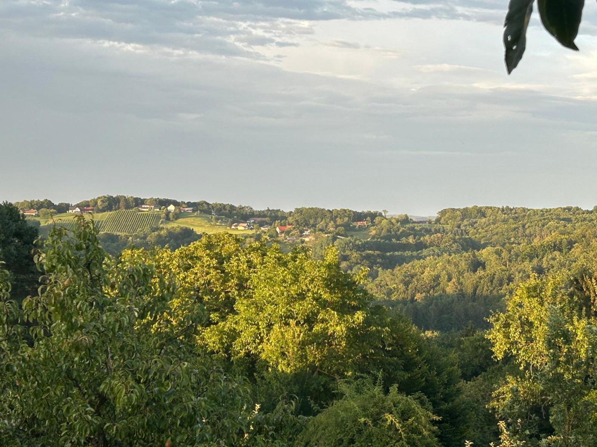 Der Hof Am Wald Villa Weichselbaum Eksteriør billede